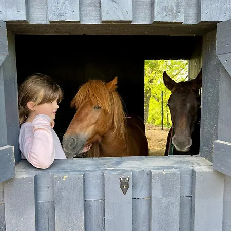 Kasztelański Nocleg ze śniadaniem Budzistowo