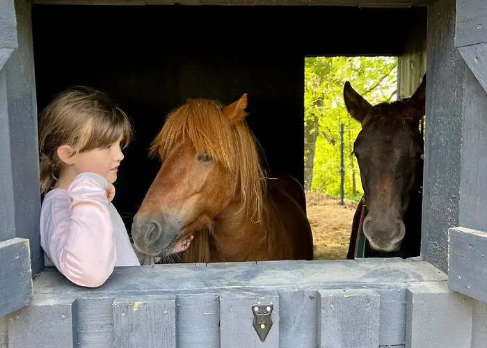 Kasztelanski Bed & Breakfast Budzistowo