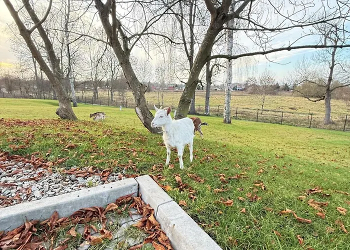 Kasztelanski Bed & Breakfast